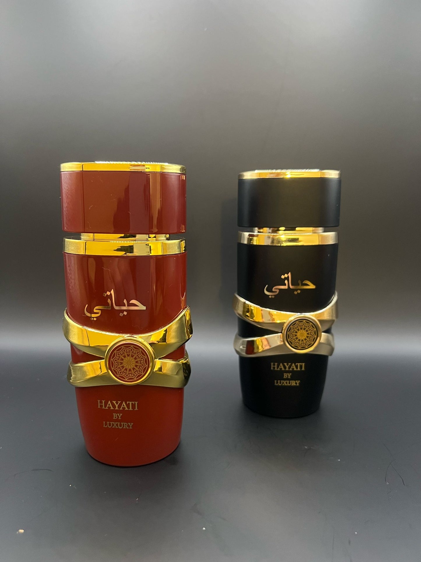 Lot 2 Parfums Homme