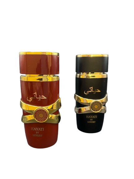 Lot 2 Parfums Homme